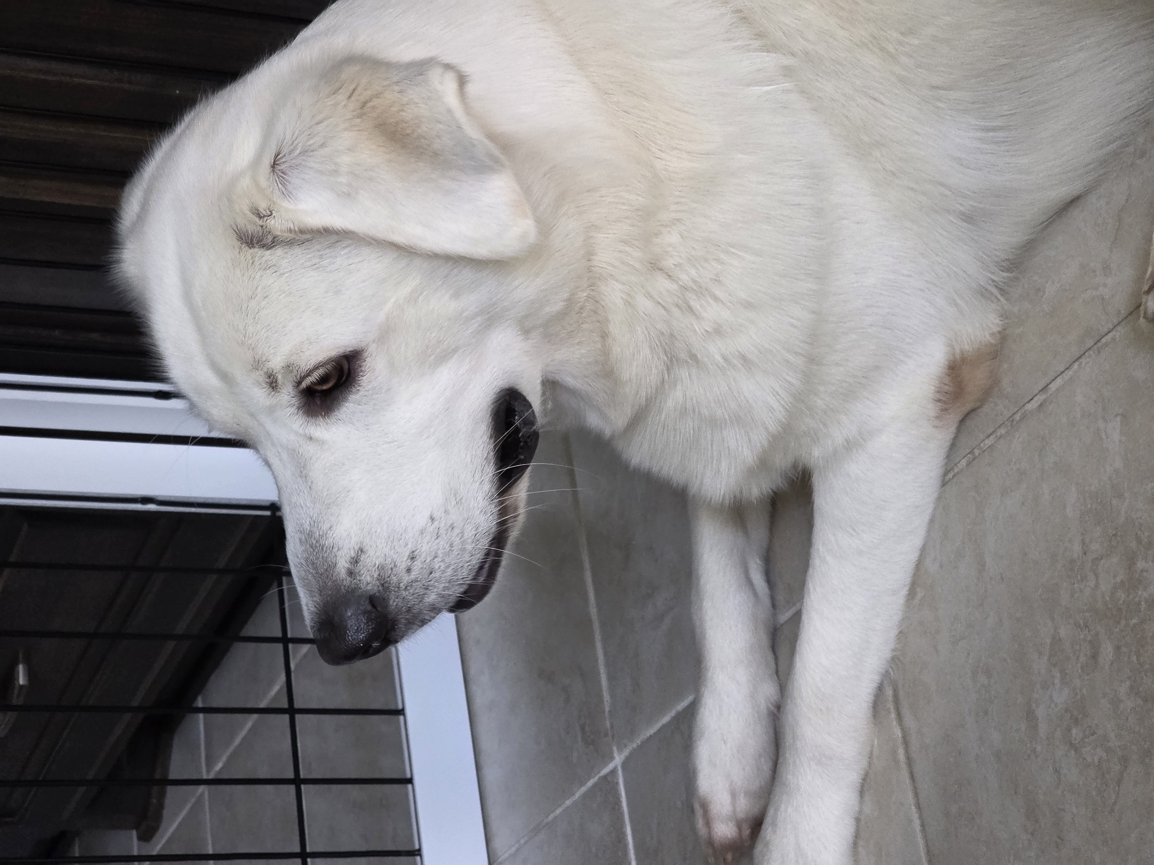 Mun Mun resting